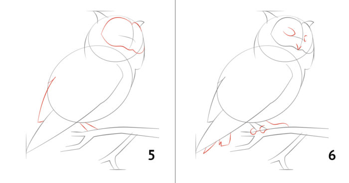 пошаговый рисунок совы, пример 5, шаг 3