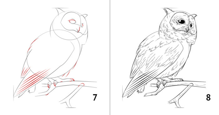 пошаговый рисунок совы, пример 5, шаг 4