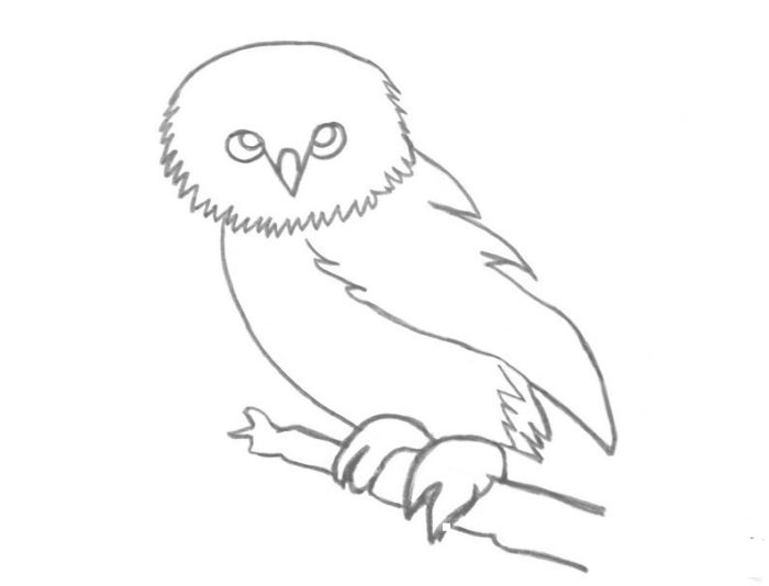 пошаговый рисунок совы, пример 2, шаг 3