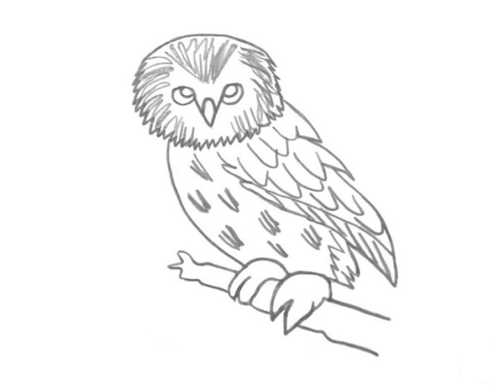 пошаговый рисунок совы, пример 2, шаг 4