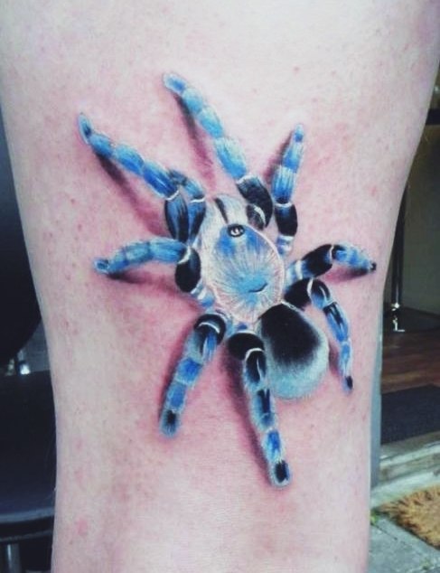 3D паук, ползущий вверх. Обращает на себя внимание необычный цвет тату.