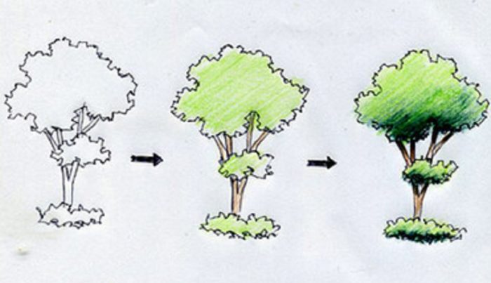 Как нарисовать дерево, которое видно издалека