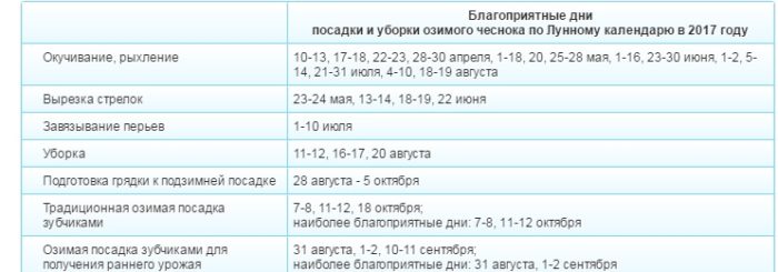 Выращивание чеснока по лунному календарю.