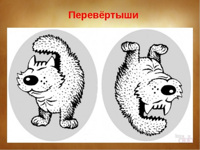 animalisticheshi-Perevertish
