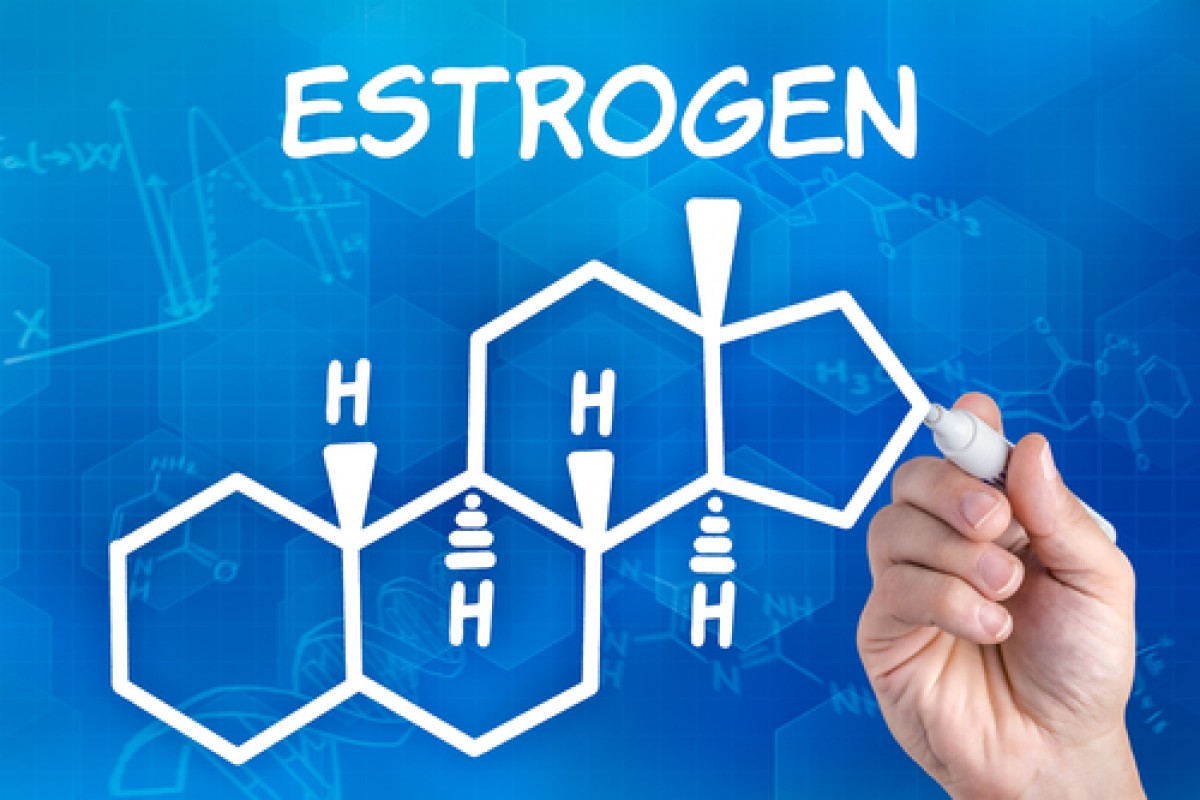 Эстрадиол и эстроген: в чем разница?