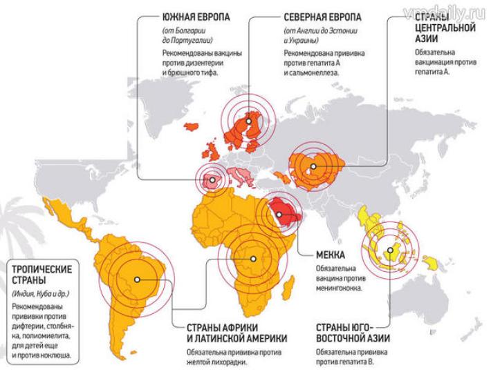 Katera cepljenja in kje potujejo v tujino v eksotične države?