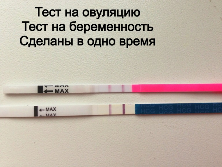 Как лучше сделать тест на овуляцию Как лучше сделать тест на овуляцию