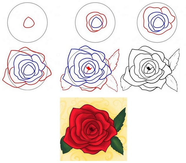 Нарисовать розу поэтапно для начинающих карандашом легко и красиво