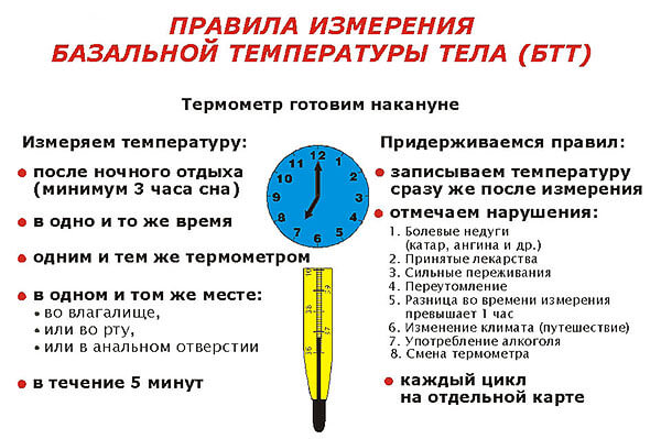 temperatura-v-zadnem-proxode-u-beremennoj5