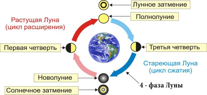 Лунные циклы