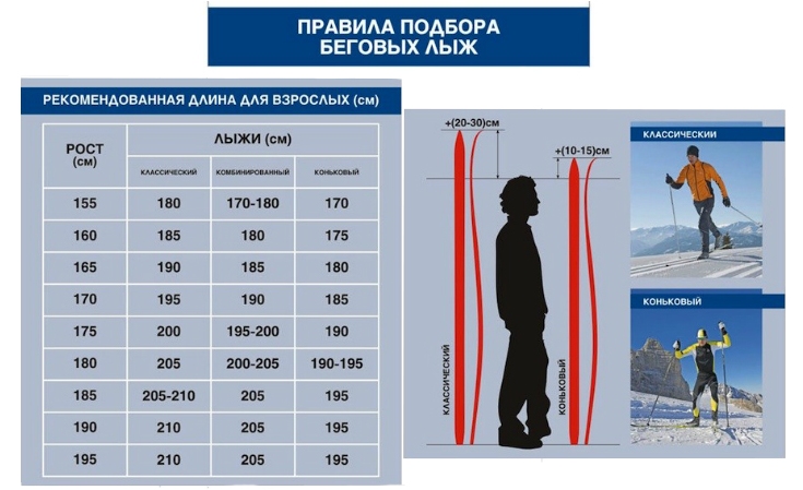 Помощь в выборе для лыжников