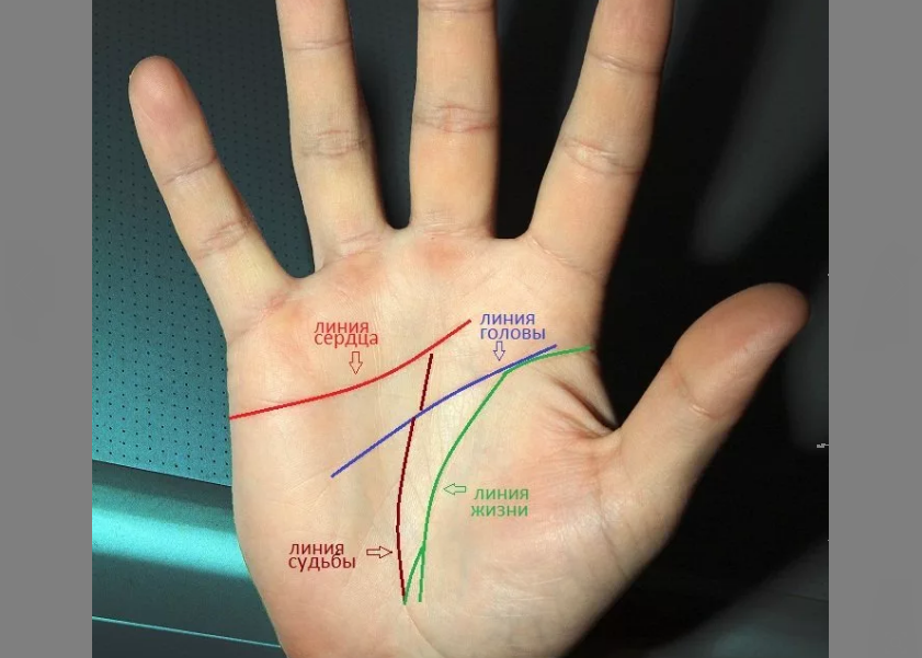Судьбоносная полоска на ладошке обозначена коричневым цветом 