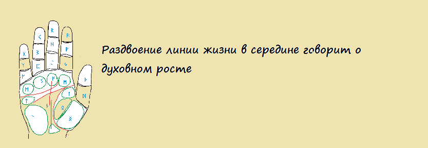 Раздвоение полосы в середине