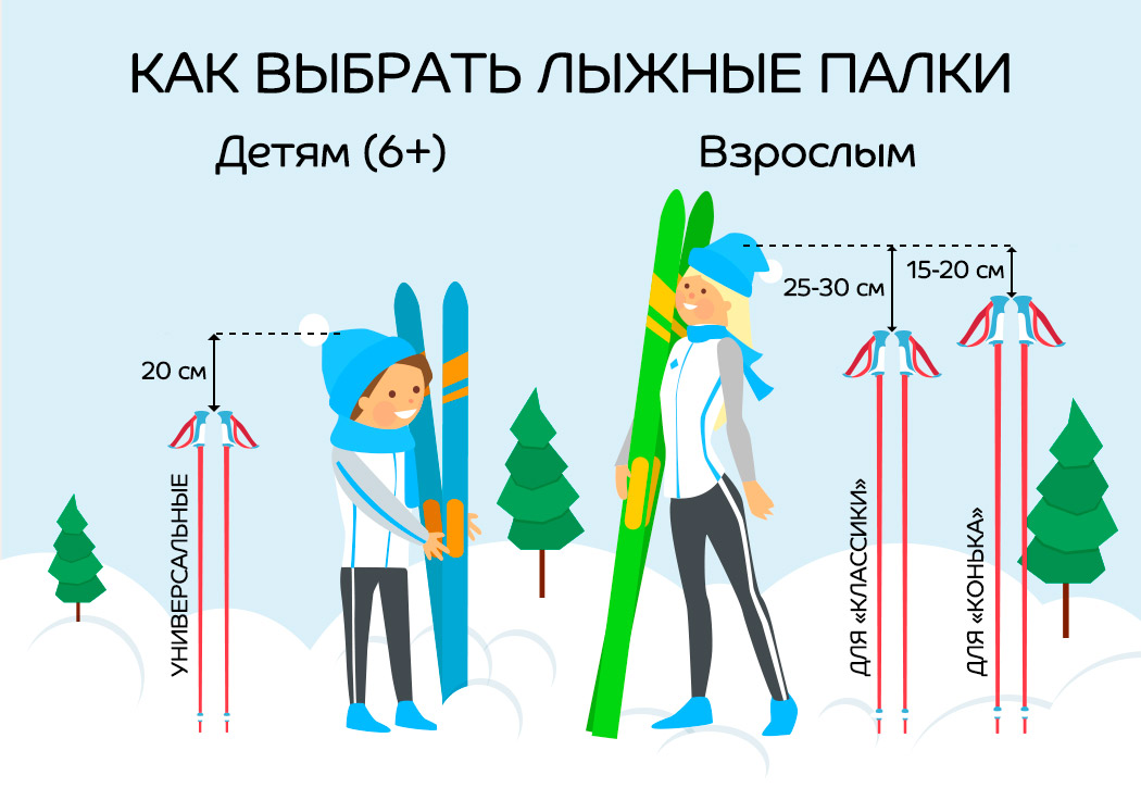 Выбор палок и лыж