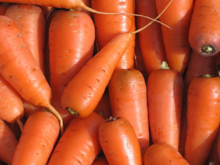 собранная крупная морковь насыпана в ящике