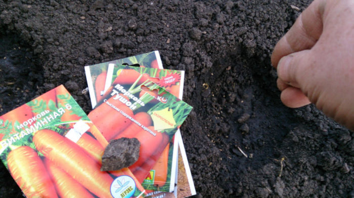 пачки с семенами моркови на грядке для посева