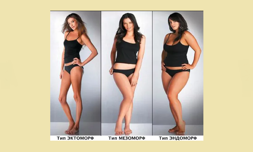 Frauen mit drei Arten von Körper