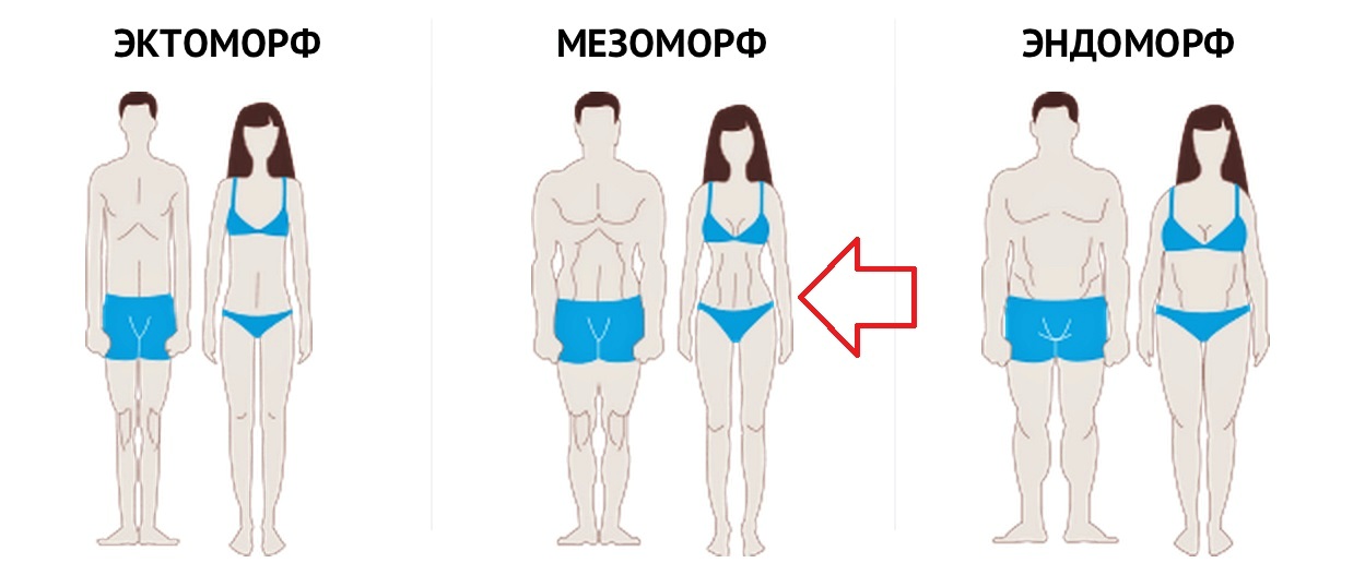 ผู้หญิงที่มีมุมมอง Mesomorphic ของรูป