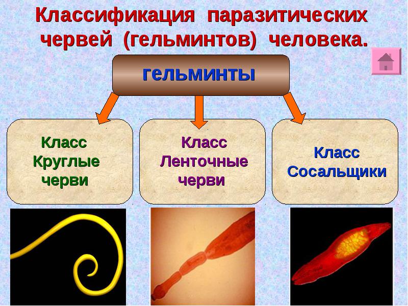 Классификация