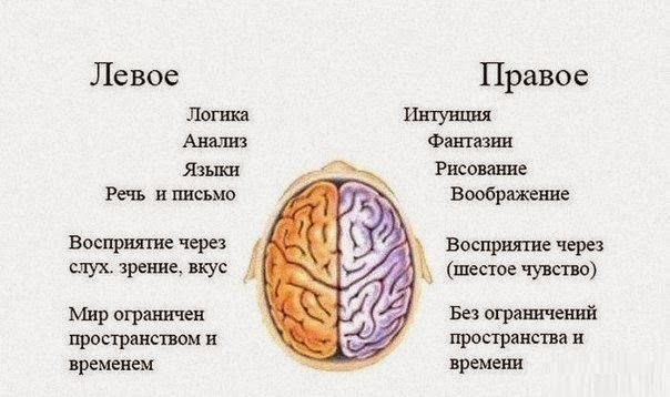 У ребенка с дисграфией связь между полушариями головного мозга сформирована в недостаточной степени