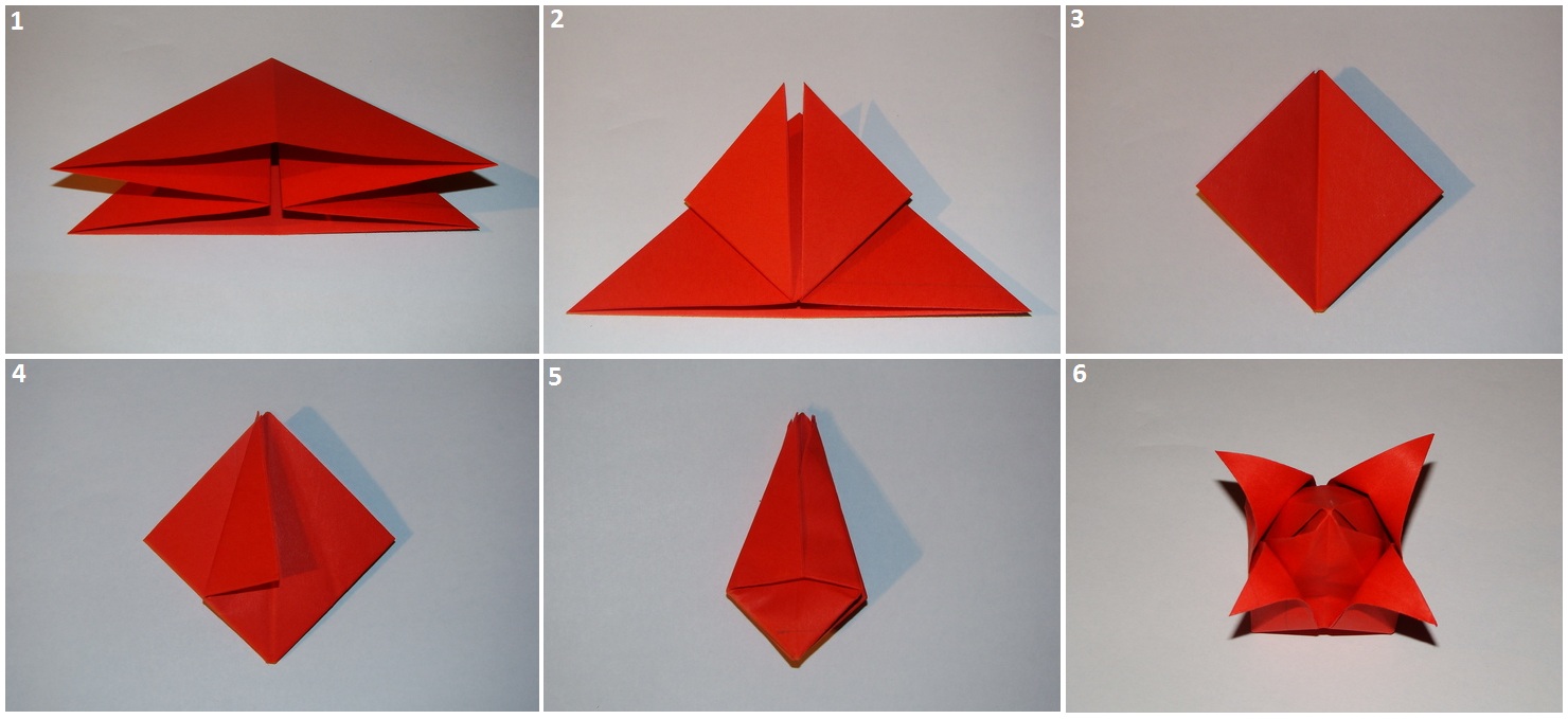 Origami Tulip ქაღალდი: სქემა