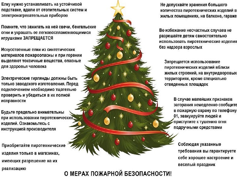 Σημείωμα για τη φύτευση του χριστουγεννιάτικου δέντρου και τη χρήση των πυροτεχνημάτων