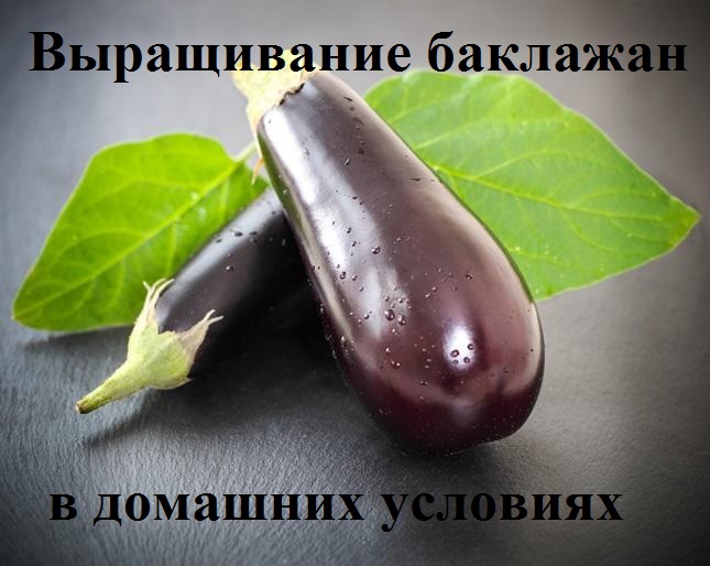 Секреты получения хорошего урожая