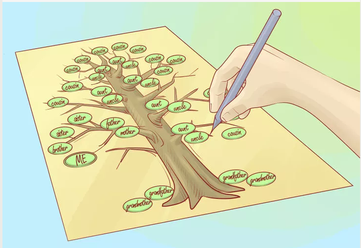 Семейное дерево рисовать