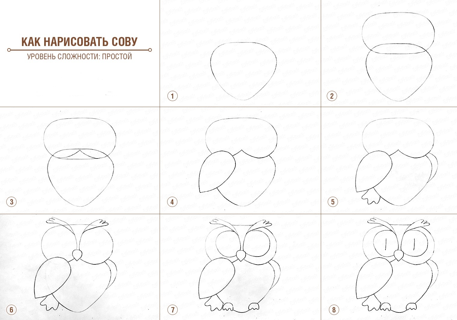 Как поэтапно нарисовать карандашом сову поэтапно карандашом