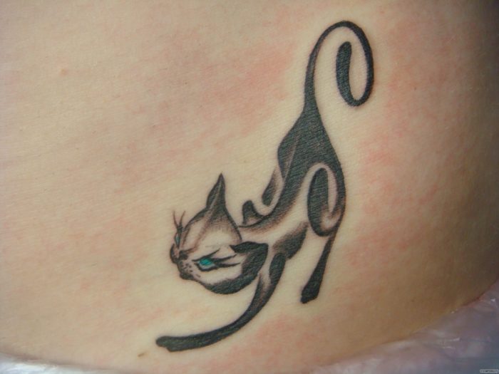 Татуировка для девушек на спине - кошка