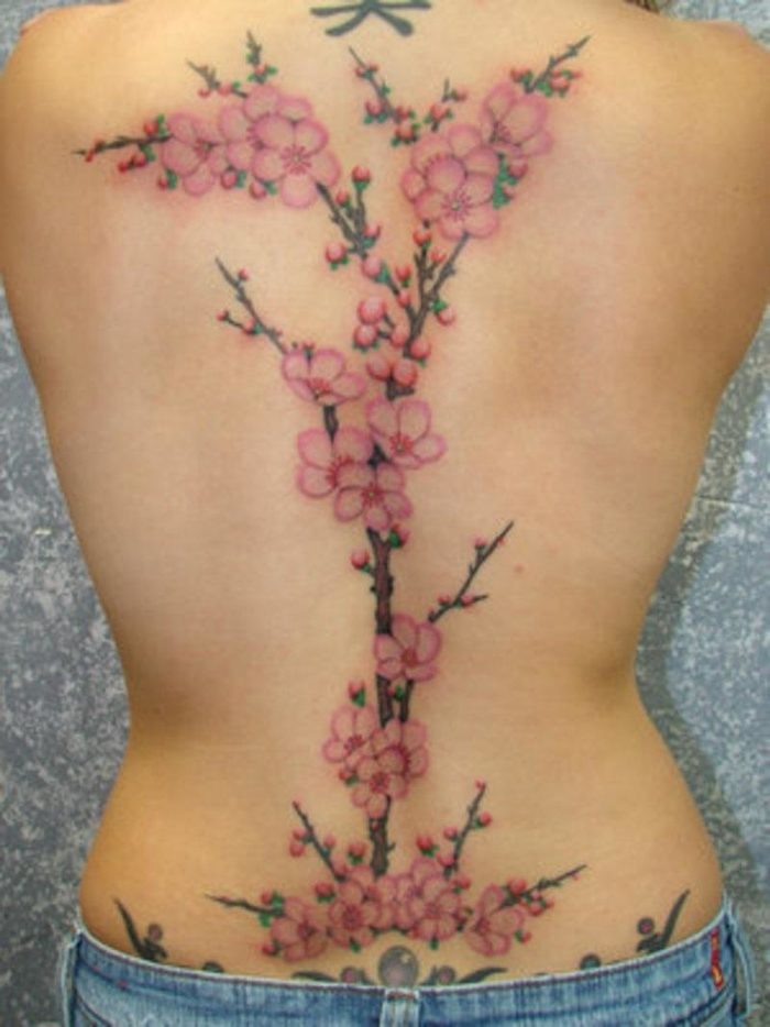 Татуировка для девушек на спине - сакура