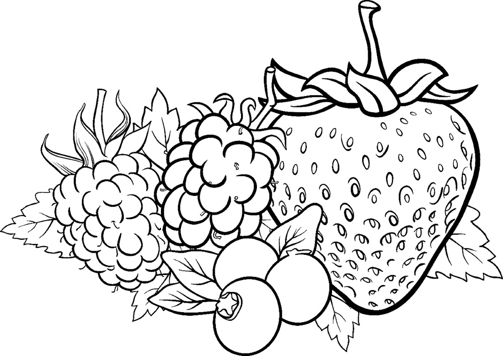 berries-coloring-pages39