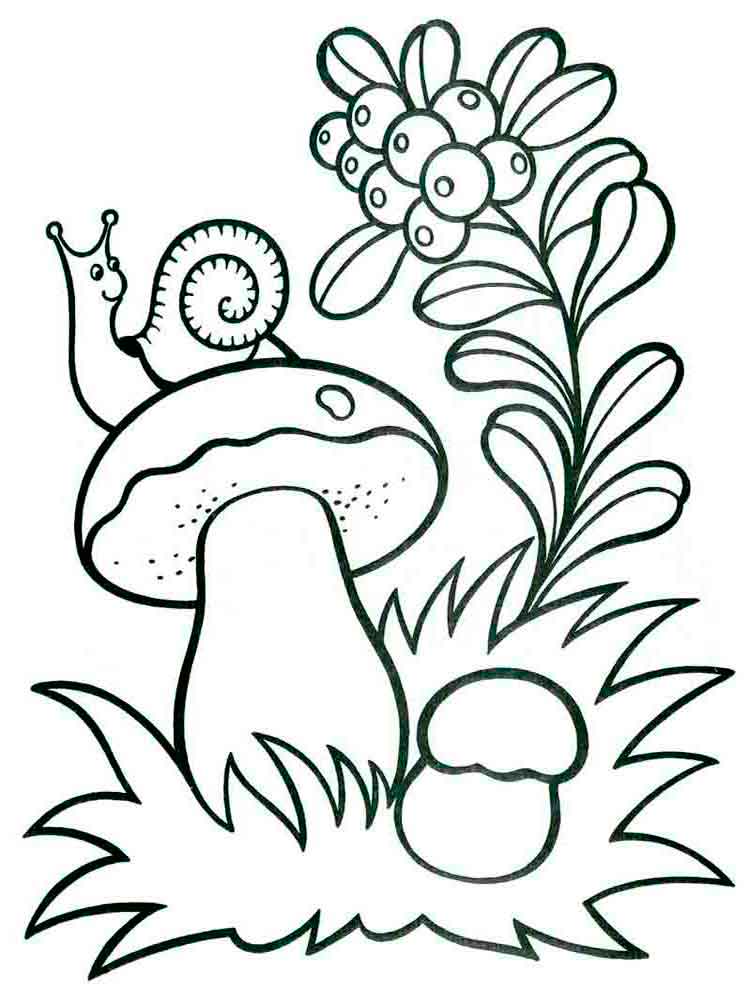 summer-coloring-pages-8