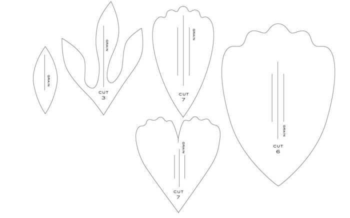 Pion-lepestki-piona