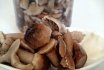 Cara memasak jamur yang direndam dan goreng untuk musim dingin: resep terbaik. Bagaimana cara memproses dan membersihkan jamur setelah mengumpulkan berapa banyak masak dan goreng sampai siap untuk pengalengan di bank, cara memasak bumbu hingga 1 liter air yang lezat?
