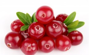 E 'possibile mirtilli in gravidanza? Cranberries durante la gravidanza da edema, con cistite, pielonefrite, stafilococco: Come fermentare come bere