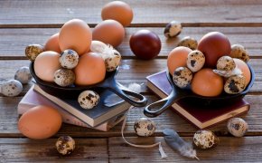 آیا ممکن است با تخم مرغ شیر مادر تغذیه شود؟ آیا می توان از شیر دم، مرغ سرخ شده و تخم مرغ بلدرچین بخورید؟