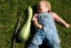 How to cook a zucchini for the first child's dust, how much do you cook? What to cook a baby from zucchini: mashed potatoes, pancakes, soup, cutlets, casserole
