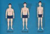 How to find out by the type of physique, who you are ectomorph, mesomorph or endomorph: test, definition of wrist. Who is the ectomorph, mesomorph, endomorph: description of the structure of the male and female body, photo