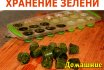 Как правильно хранить свежую зелень в холодильнике? Как хранить зеленый лук, укроп, петрушку, свежую мяту, щавель, базилик в холодильнике и сколько?