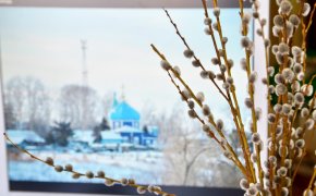 Как нарисовать вербу дерево и ветку карандашом поэтапно? Как нарисовать вербу в вазе карандашом и гуашью?