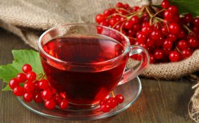 Что можно приготовить из калины в домашних условиях? Что можно сделать из замороженных ягод калины: рецепты