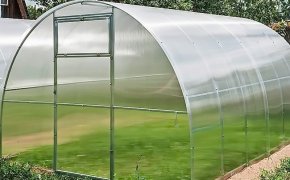 Как обработать теплицу из поликарбоната после зимы весной от болезней и вредителей? Чем обработать и удобрить землю в теплице весной перед посадкой огурцов, рассады?