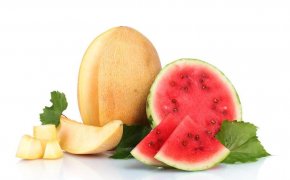 Is it possible to nursing a watermelon and melon?