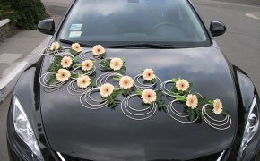 Модное оформление и украшение свадебных машин своими руками. Как самому сшить украшения на свадебные машины из органзы, лент, фатина, сделать свадебный декор?