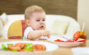 Зачем малышу жевать твердую пищу? Как научить ребенка жевать твердую пищу: методика перехода, способы приучения